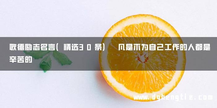 歌德励志名言（精选30条） 凡是不为自己工作的人都是辛苦的